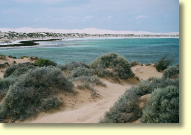 Edward John Eyre used Scott's Beach as a stores depot during his epic 1840-41 crossing of the Nullarbor. Scott's Beach is located to the west of Fowlers Bay.